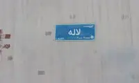 عجیب‌ترین انتقام عاشقانه از یک دختر در پاسداران تهران