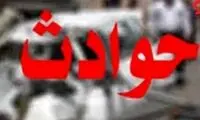 پسر جوان، رباینده خواهرش را به طرز فجیعی کشت