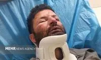 حمله ۳ متخلف به یک محیط‌بان در شمال تهران