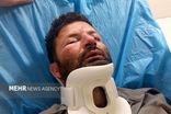 حمله ۳ متخلف به یک محیط‌بان در شمال تهران