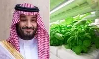 اقدام جدید بن سلمان که جهان را سورپرایز کرد