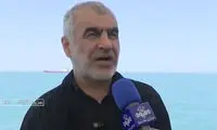 نیکزاد: تنگه هرمز به شرایط قبل از جنگ باز نمی‌گردد