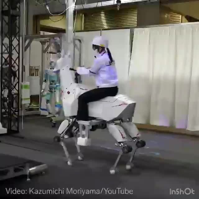 ربات هوشمند اسبی شکل، زیر پای یک کودک