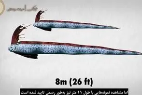 ماهی ترسناکی که پیام‌آور زلزله و سونامی است