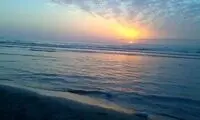 کشف یک موجود دریایی عجیب در اعماق دریا