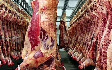 خبر مهم وزارت جهاد کشاورزی درباره قیمت گوشت