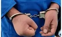 دستگیری جاسوس اروپایی در کهگیلویه و بویراحمد