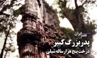 پدربزرگ کبیر شیلی؛ موجود 5 هزار ساله کره زمین