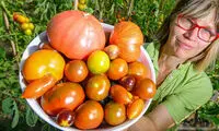۱۲ پیشنهاد شگفت‌انگیز برای دور زدن سرطان