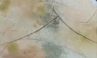 نان کپک‌زده در میان بسته‌های کمک هوایی غزه!