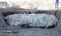کشف تصادفی ۱۰۰هزار سکه تاریخی همه را سورپرایز کرد