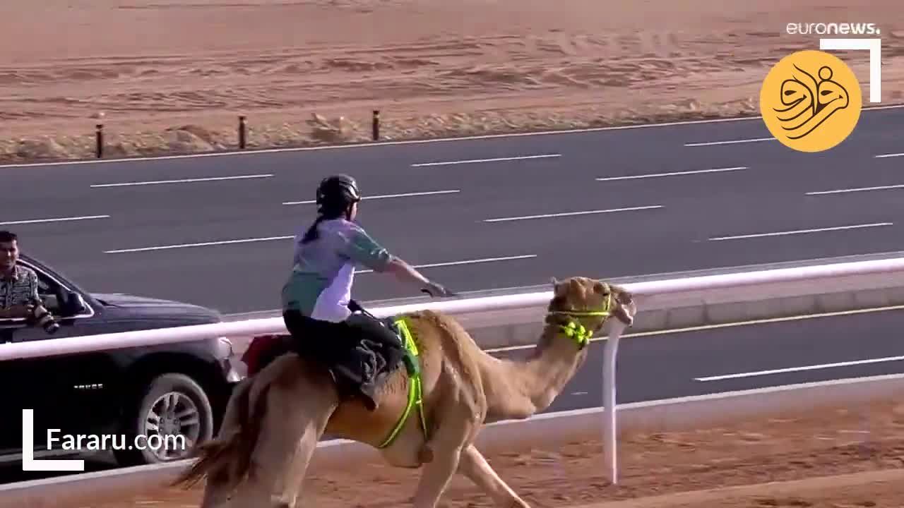 ویدیویی پربازدید از شترسواری زنان در پایتخت عربستان