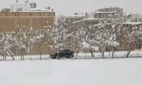تصاویری زیبا و چشم‌نواز از بارش برف در یزد