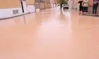لحظه وحشتناک تخریب یک خانه در سیل