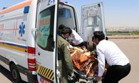 واژگونی هولناک یک مینی‌بوس در جاده اهر