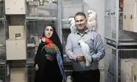 قصه بی‌صدای پرورش‌دهندگان پرنده‌های سخنگو