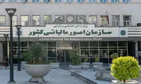جرایم مالیاتی بخشیده می‌شود، اما فقط با یک شرط