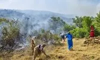 دستگیری ۱۴ عامل آتش سوزی جنگل های مریوان