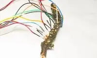 کامپیوتر زنده؛ استفاده از قارچ به جای رم!