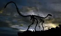 کشف یک گونه تازه دایناسور در برزیل