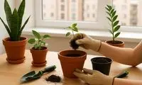 آموزش باغبانی به زبان ساده برای افراد مبتدی و آپارتمان نشین