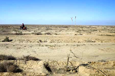 خبر وحشتناک درباره خشکسالی ایران