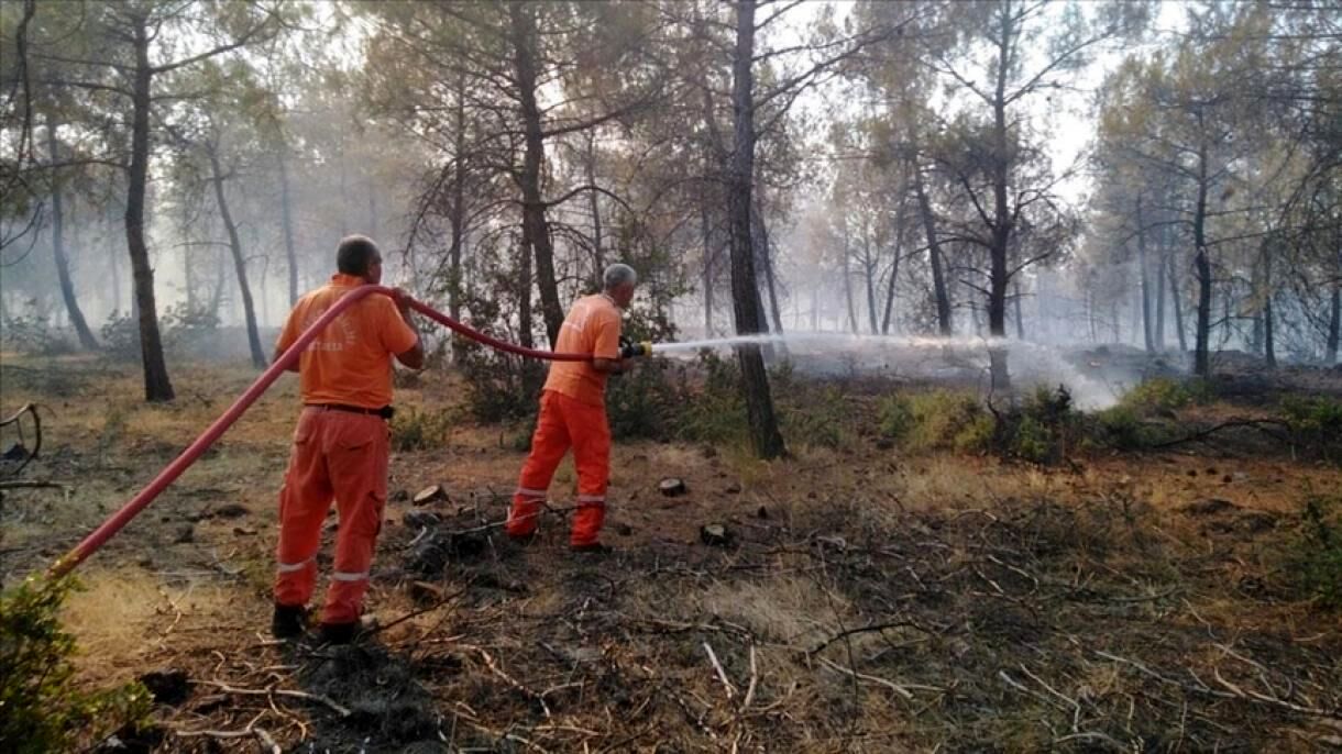 وقوع آتش‌سوزی هولناک در جنگل‌های ترکیه