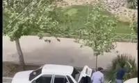 لحظاتی از سرقت عجیب خودرو در روز روشن