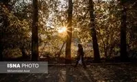 افزایش دمای هوای تهران طی ۵ روز آینده