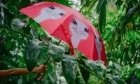اگر این معما را در 8 ثانیه حل کنید، دید فوق‌العاده‌ای دارید!