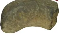 چه چیزی در این «مدفوع» ۲۰۰ میلیون ساله پیدا شد؟!