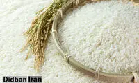شکر کمیاب شد