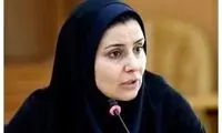 روایت وزیر راه از شیوه هدایت هواپیماهای بدون رادار!