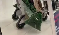 یک شاهزاده با ده‌ها شاهین شکاری در فرودگاه!