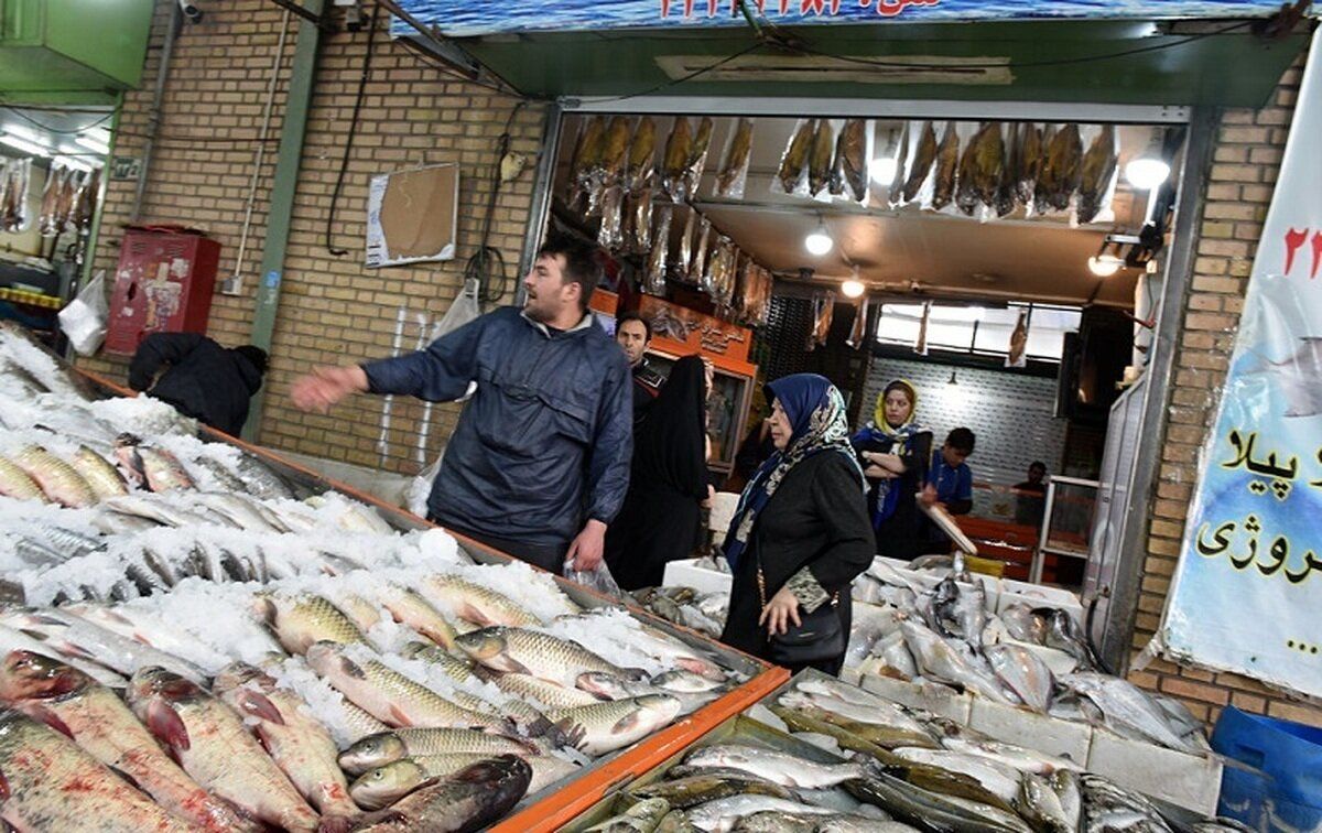 قیمت ماهی نجومی شد