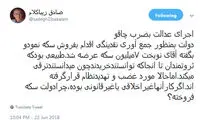 زیباکلام: کنترل قیمت سکه به ضرب چاقو نمی‌شود