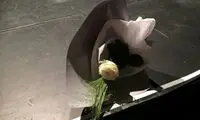 شاخه گلی برای کیارستمی