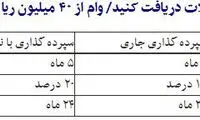 از 4 تا 40 میلیون تومان وام بگیرید!