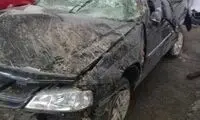نابودی خودروی شورای شهر توسط برادر یکی از اعضا