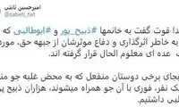 مجری تلویزیون: کاش هزاران زینب ابوطالبی داشتیم