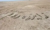 تالاب گاوخونی به افسانه‌ ها می پیوندد!