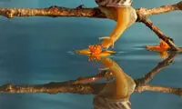 عکس: لحظات افسانه ای در دنیای حلزونها