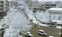 نمایی جالب از خیابان کریمخان در اوایل دهه ۵۰