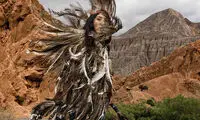 20 تصویر برتر نشنال جئوگرافی سال 2015