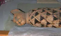 جایگاه عجیب گربه ها در مصر باستان!