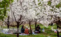 هزینه خوراکی‌های سیزده‌ بدر چقدر است؟
