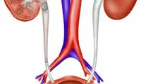 قاروره شناسی در طب سنتی ایرانی