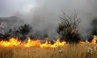 ۱۰۰۰هکتار از مزارع کهگیلویه در آتش سوخت