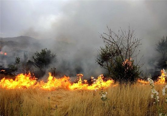 ۱۰۰۰هکتار از مزارع کهگیلویه در آتش سوخت