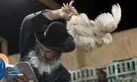 خروسی که گناهان را می‌بخشد! +عکس